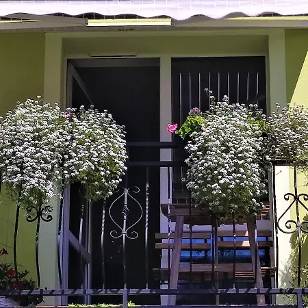 Apartament 
